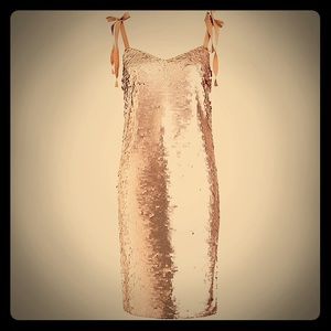 Jcrew rose gold sequin dress
